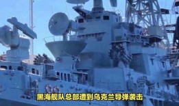 俄罗斯舰队司令爆料视频,揭秘神秘军事行动内幕